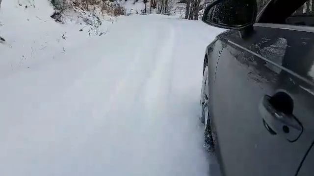 Audi A4 B9 quattro riding Petlas Snow Master