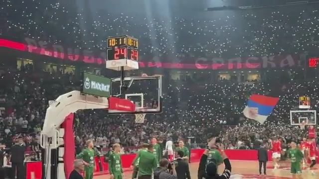 Сербские болельщики окрасили ...