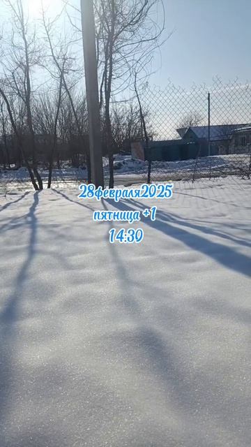 28февраля2025