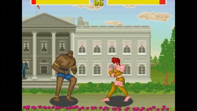 Vagrant Fighter FX (X68000)
