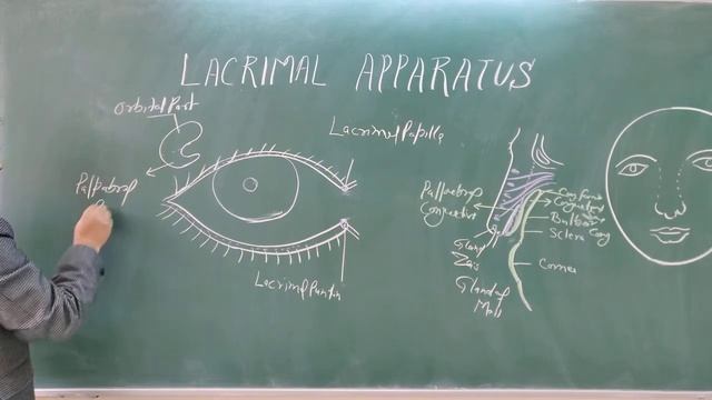 Lacrimal apparatus by Dr A K SINGH