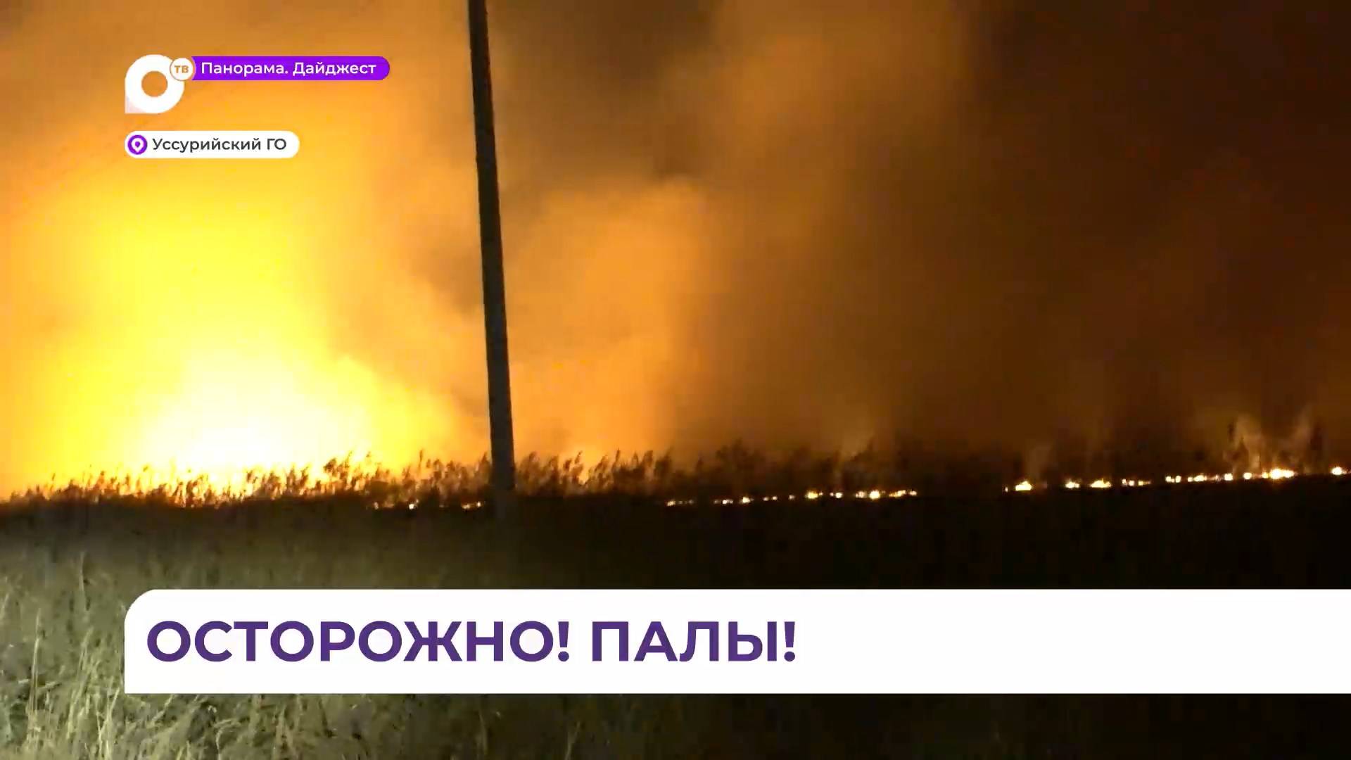 Очаги возгорания в Приморье были успешно ликвидированы