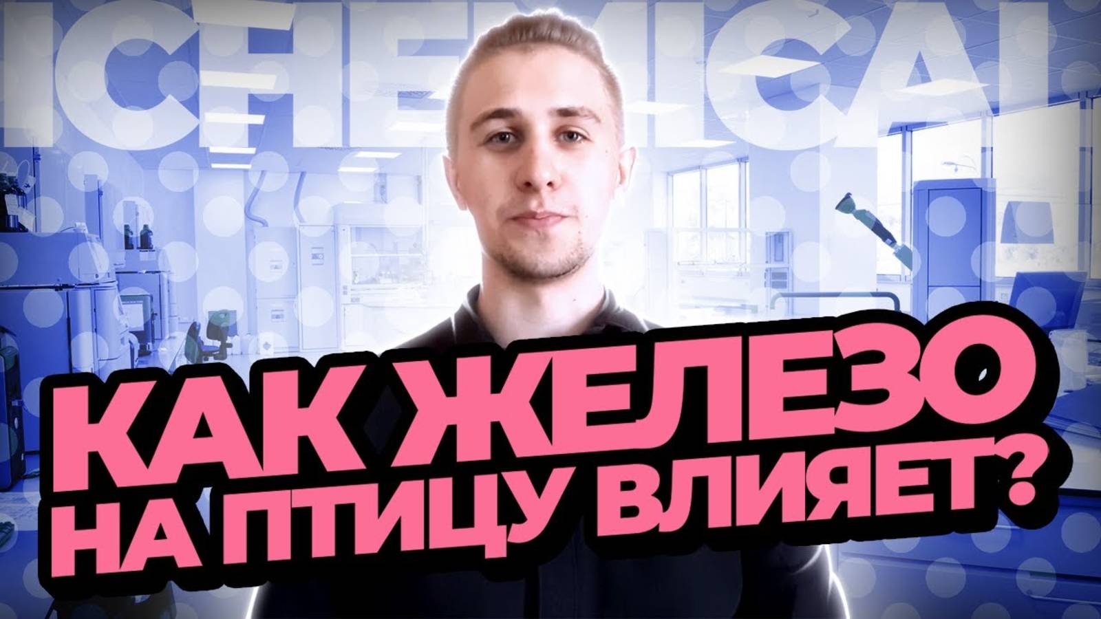 Как железо на птицу влияет