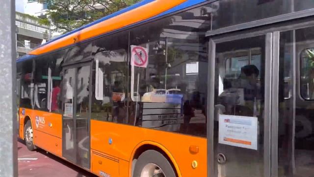 BYD B12A03 (PD660J) on Service A1 departing