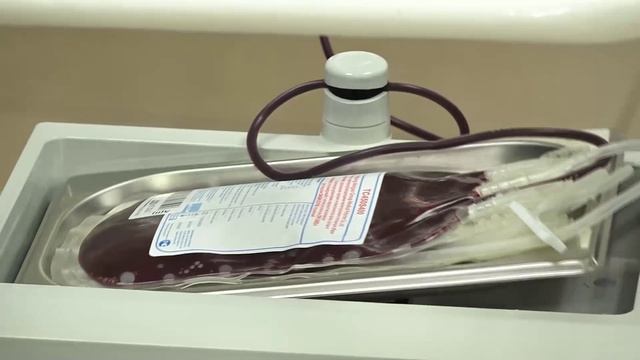(28.02.2025) В Хабаровском крае состоится Всероссийский форум по донорству крови и костного мозга