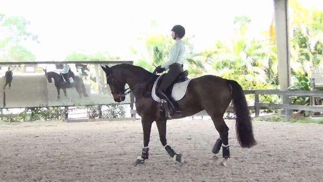 Dressage mechanics with Leif Aho. Basic biomechanics with a PSG Young Rider