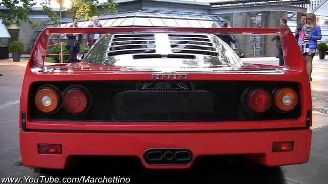 Loud Start Ups: Ferrari Enzo vs 599XX vs F50 vs F40 vs GTO