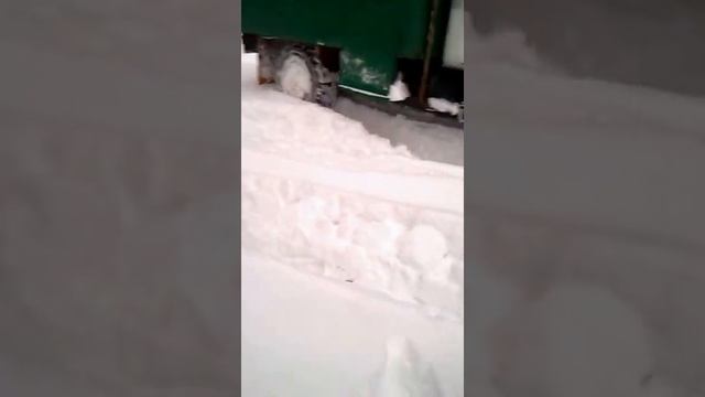 Газ 66 vs глубокий снег.