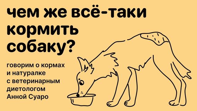 Сухой корм или натуралка? Разбираемся вместе с ветеринарным диетологом