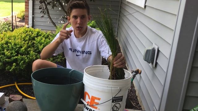 I made a Patio Bowl Pond for $20