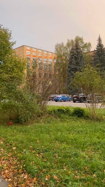 Пущино. Мозаика на здании столовой "Зеленая зона". #пущино #nature #russia #pushchino