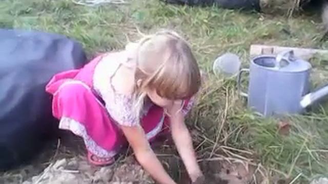 Сажаем Дуб на рост Силы Империи Сильнейших Ведьм-1