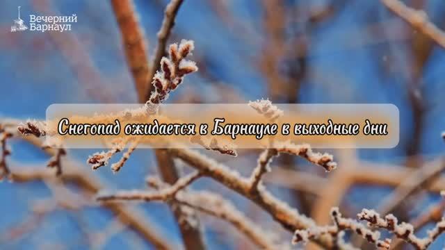 Снегопад ожидается в Барнауле в выходные дни