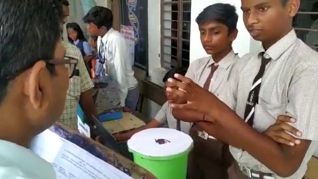 Smart Dustbin | Presented in Science Exhibition | by the students of Janata Highschool