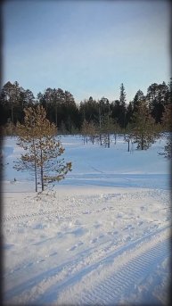 Отжигаем! 💪😎