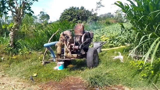 Diesel Dongfeng dan Pompa Air NS 100 Solusi Petani Dimusim Kemarau