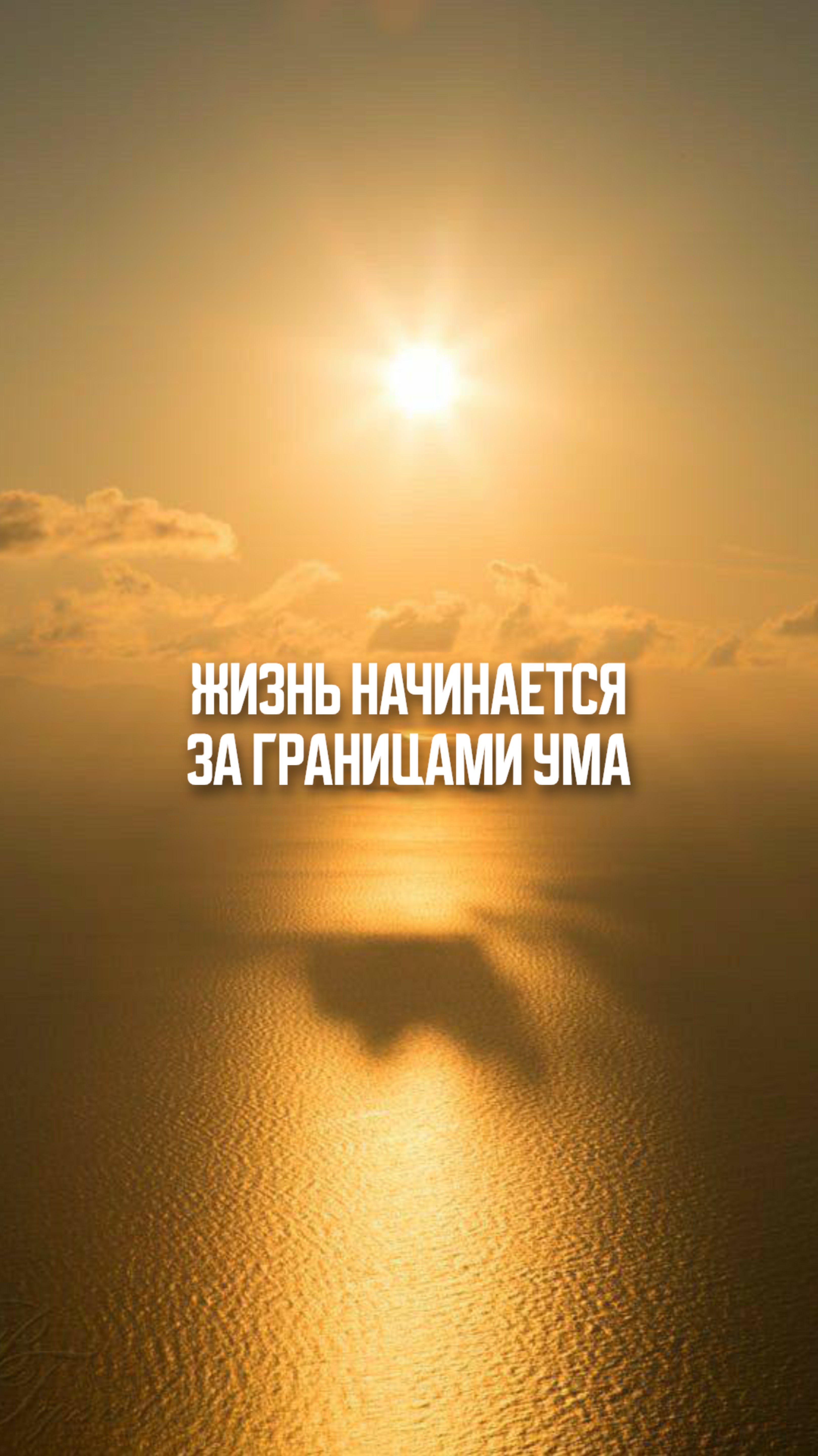 Жизнь начинается за границами ума