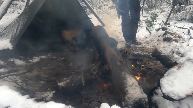 Попал в шторм - Зимний кемпинг в метель с моей собакой - Выживание