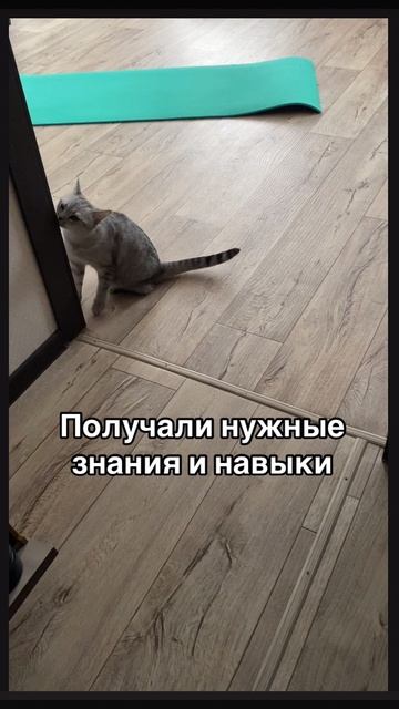 28-02-2025