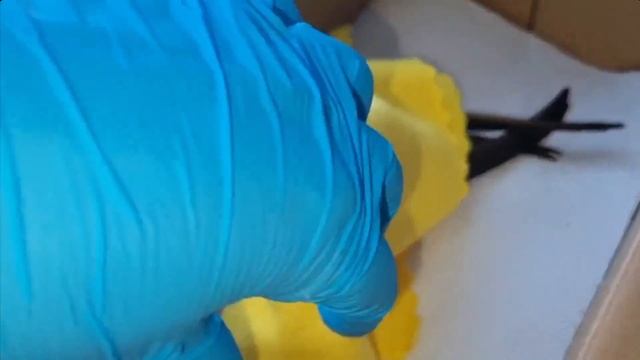 Кислородная камера при ЧМТ