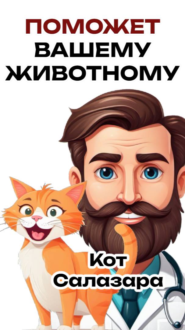 УЛУЧШИТЬ ЖИЗНЬ ЖИВОТНОГО. Советы ветеринаров #юмор #история #факты