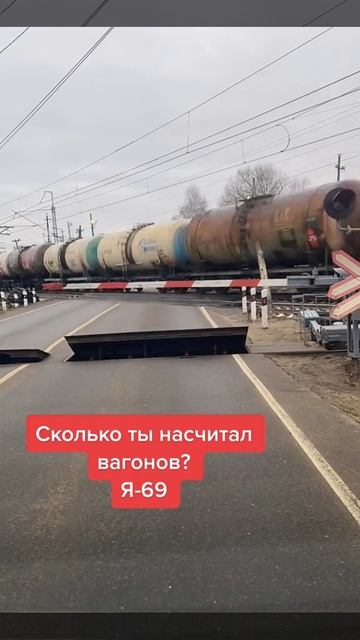 Посчитай сколько их там🤓😉