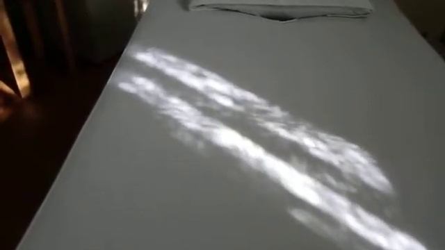 診療ベッドに窓からの光