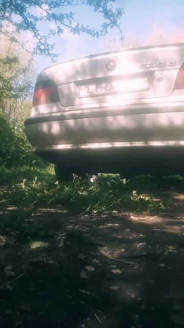 BMW e39 530d Выхлоп