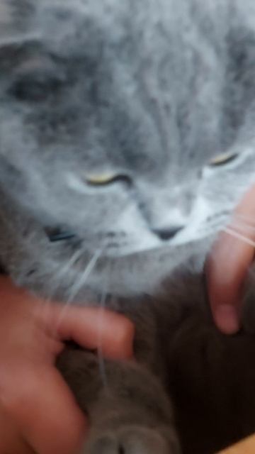 1000070506.mp4