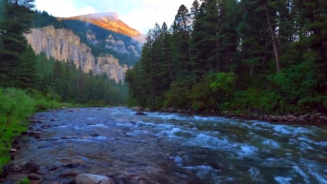 4K Вечерний лесной речные пороги  Успокаивающая водная атмосфера