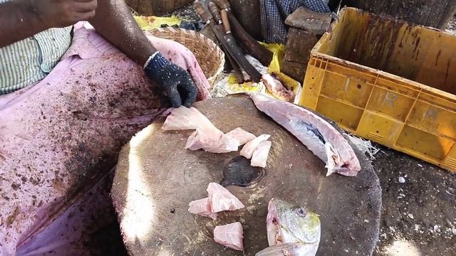 Ora Meen fish cutting video/fishcuttingrs #fishcuttingrs #fish #kasimadu
