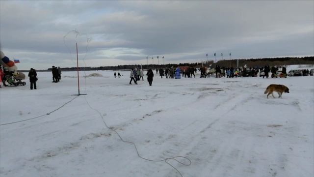 История_и_современность_Дня_оленевода