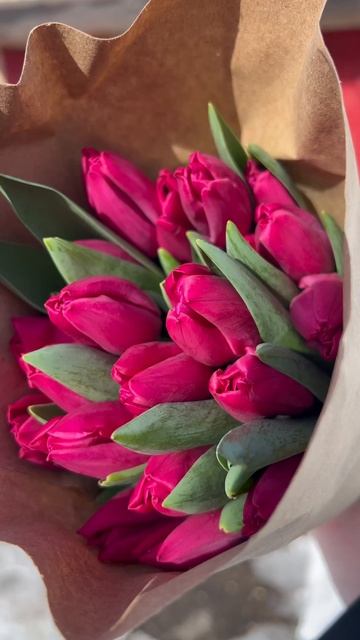 Тюльпаны на 8 Марта🌷