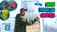 УСТАНОВКА СУПЕР ТЕПЛИЦЫ ДЛЯ ВИНОГРАДА ОТ «А» ДО «Я». СЕВЕРНЫЙ ВИНОГРАДНИК 24-39