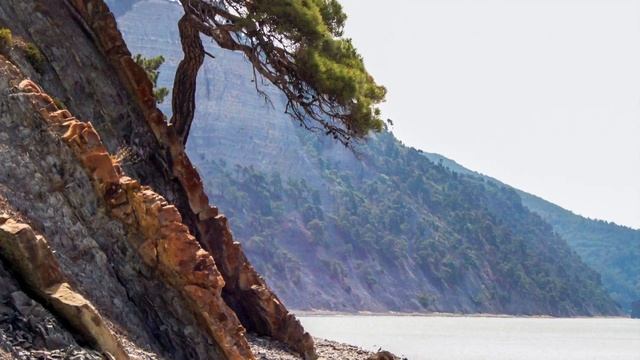 Black Sea | Kuban Cali