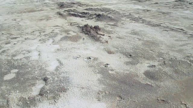 Незаконная добыча янтаря/Illegal extraction of amber