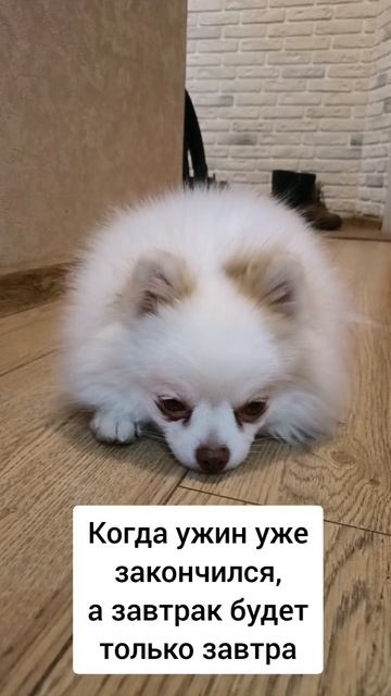 Когда ужин уже прошел, а завтрак...