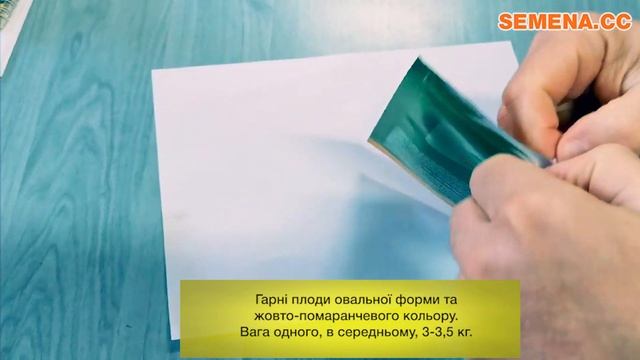 Диня ІНХ 1097 F1 від Innova Seeds. Антифейк