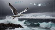 🌊~ ЧАЙКА ~🌊