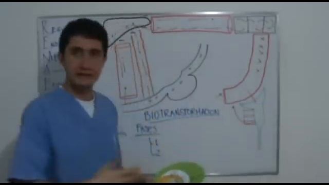 FISIOLOGÍA RENAL PARTE 1de 4 (Curso Completo, Ver Descripción)