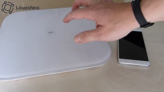 Revision Xiaomi Smart Scale by @jfulgen, para @Louesfera
