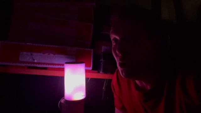 Govee RGB Smart Lamp