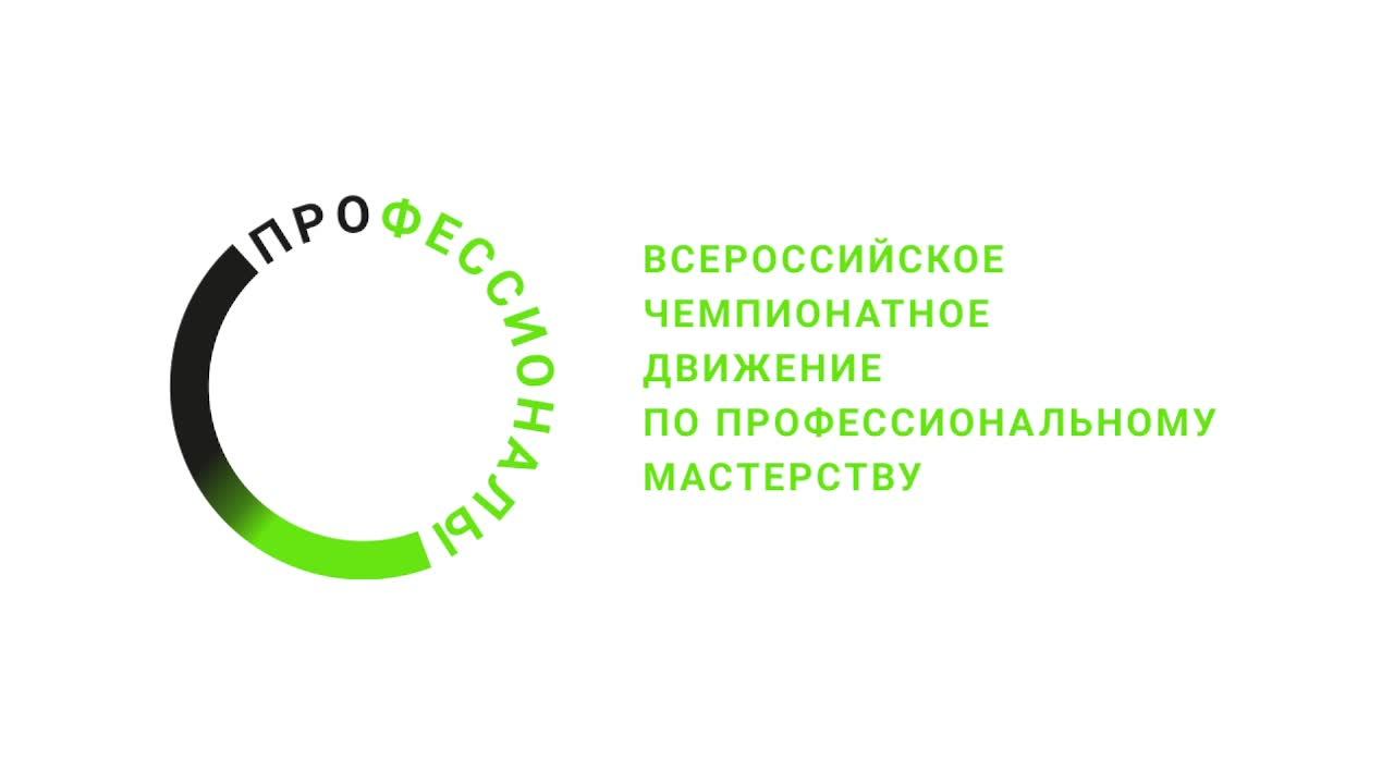 Профессионалы 2025 Преподавание технологии день 3