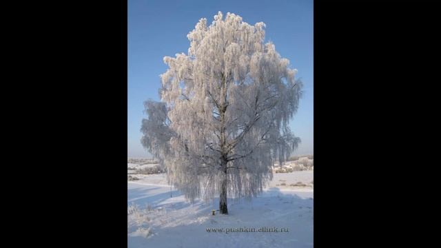 Стихотворение Простите меня - муз Светланы Видяпиной, сл Марии Видяпиной