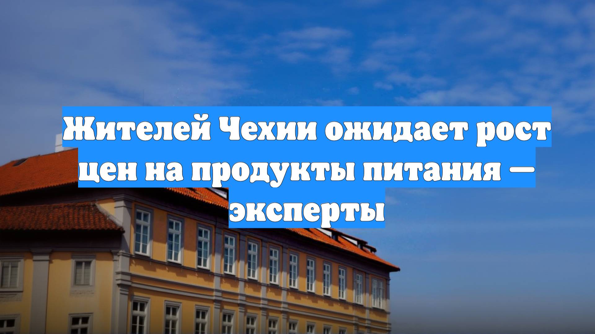 Жителей Чехии ожидает рост цен на продукты питания — эксперты