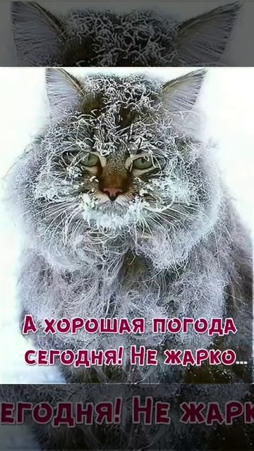 Просто фото