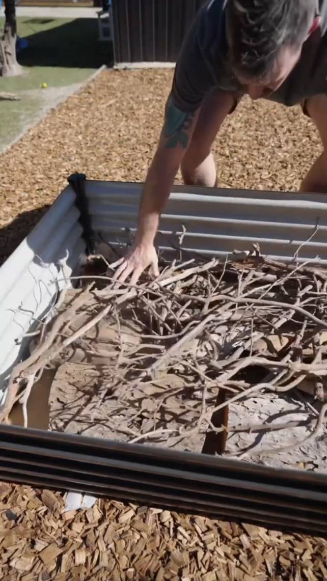 🌿Начинка высокой грядки! #shorts #garden #советы