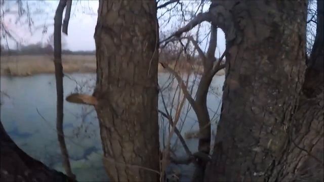 Охота на утку и вальдшнепа 2016