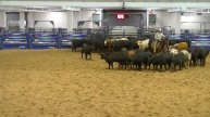 11-3-19 Am SW Tx CHA - Belton, TX - Steve Craig - UNO CREEPY CRAWLER - 50K NP - 74