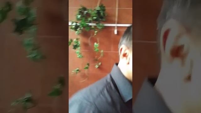 Аферистка Надежда Григоревна и её "ОПГ"